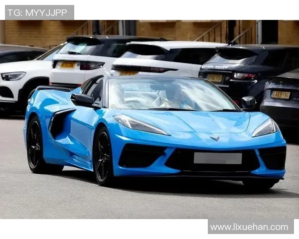 哈梅德与巴雷拉的巅峰对决谁能在拳坛称王揭开传奇篇章